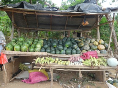 Some people sell fruits and vegetables on small roadside stands. This one has two kinds of watermelon, pumpkin, corn, and a few of the more native fruits.