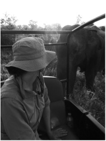 2011: Entranced by [458] on my first field season as she quietly ate grass beside our jeep. 