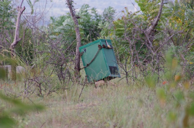 Speaker at the Bandipur Tiger Reserve (courtesy of Vivek Thuppil) 