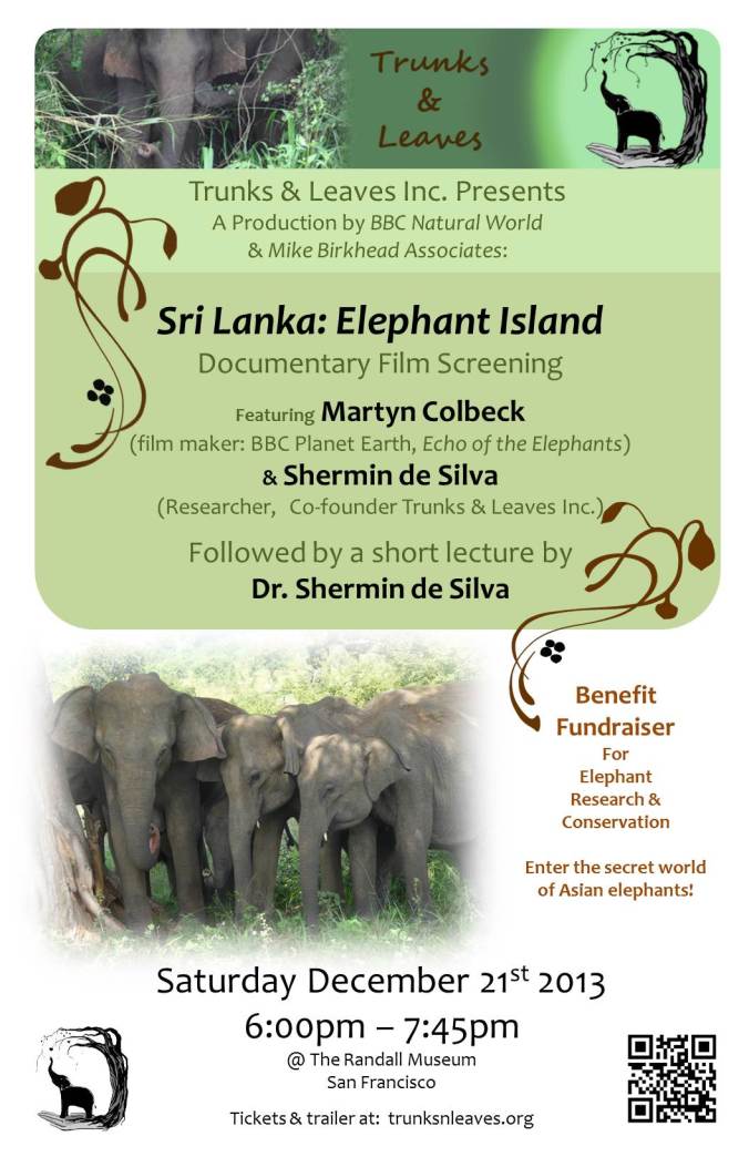 SF2013Benefit_Poster