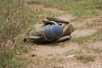 A (somewhat camouflaged) microphone.