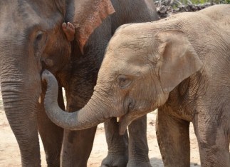 Image courtesy of Hannah Mumby.