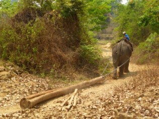 Image courtesy of Hannah Mumby.