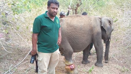 14192771_178500402579219_622052972801954950_n