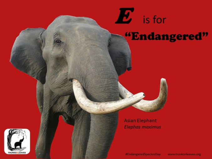 E is for Endangered