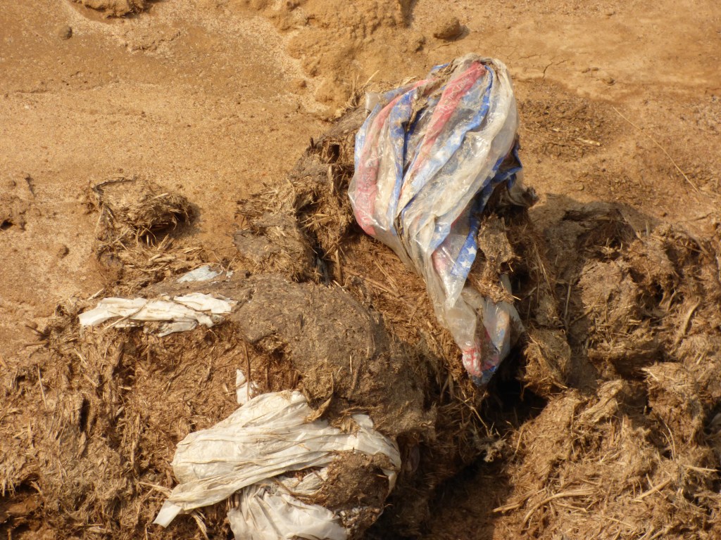 Plastic bags in elephant dung.
